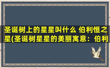 圣诞树上的星星叫什么 伯利恒之星(圣诞树星星的美丽寓意：伯利恒之星引领爱与和平)